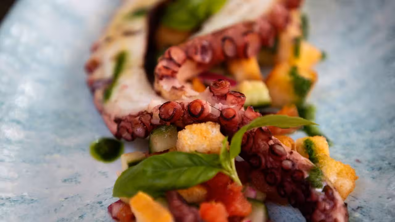 Panzanella Salad - La Terrazza Kensington, London, Greater London