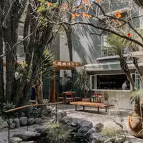 A photo of BOTANICO restaurant