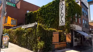 A photo of Aurora - Williamsburg restaurant