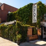 Cover image for Aurora - Williamsburg