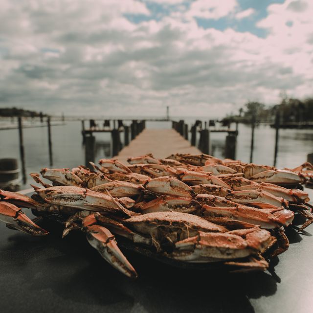 Dock of the Bay Restaurant - Sparrows Point, MD | OpenTable