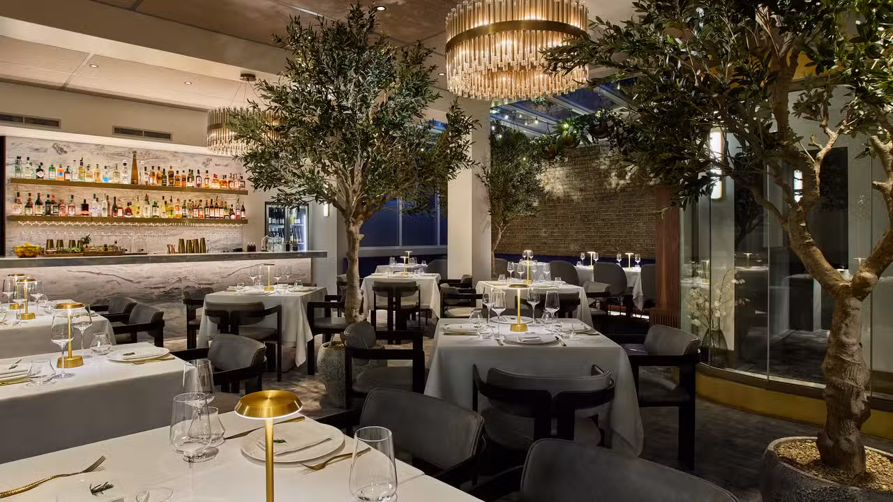Our well-appointed dining room - Sparrow Italia - Mayfair, London, Greater London