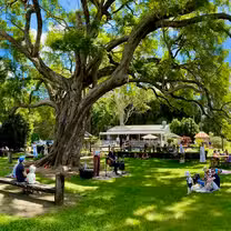 A photo of Scenic Rim Farm Shop Cafe restaurant