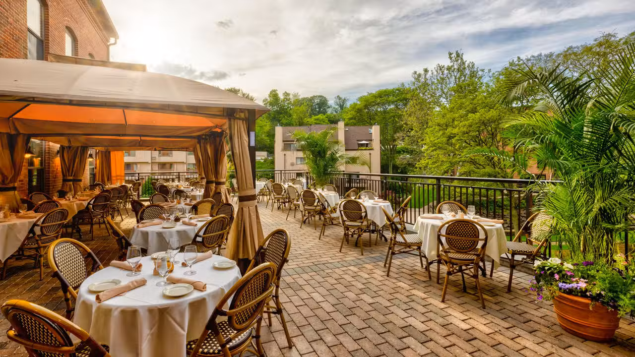 Safari Room - Il Leone Italian Restaurant & Bar, Greenwich, CT