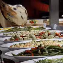 A photo of Chama Nativa Brazilian Steakhouse restaurant