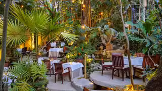 Foto von Cafe des Artistes - Puerto Vallarta Restaurant