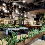 Cover image for Earls Kitchen + Bar - Test Kitchen - Vancouver