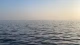 A photo of Lombardi's on the Bay restaurant