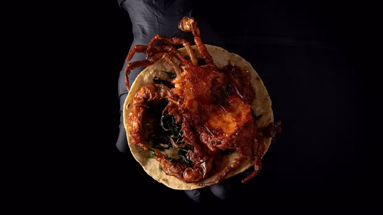 Food - La Buena Barra - Monterrey, San Pedro Garza García, NLE