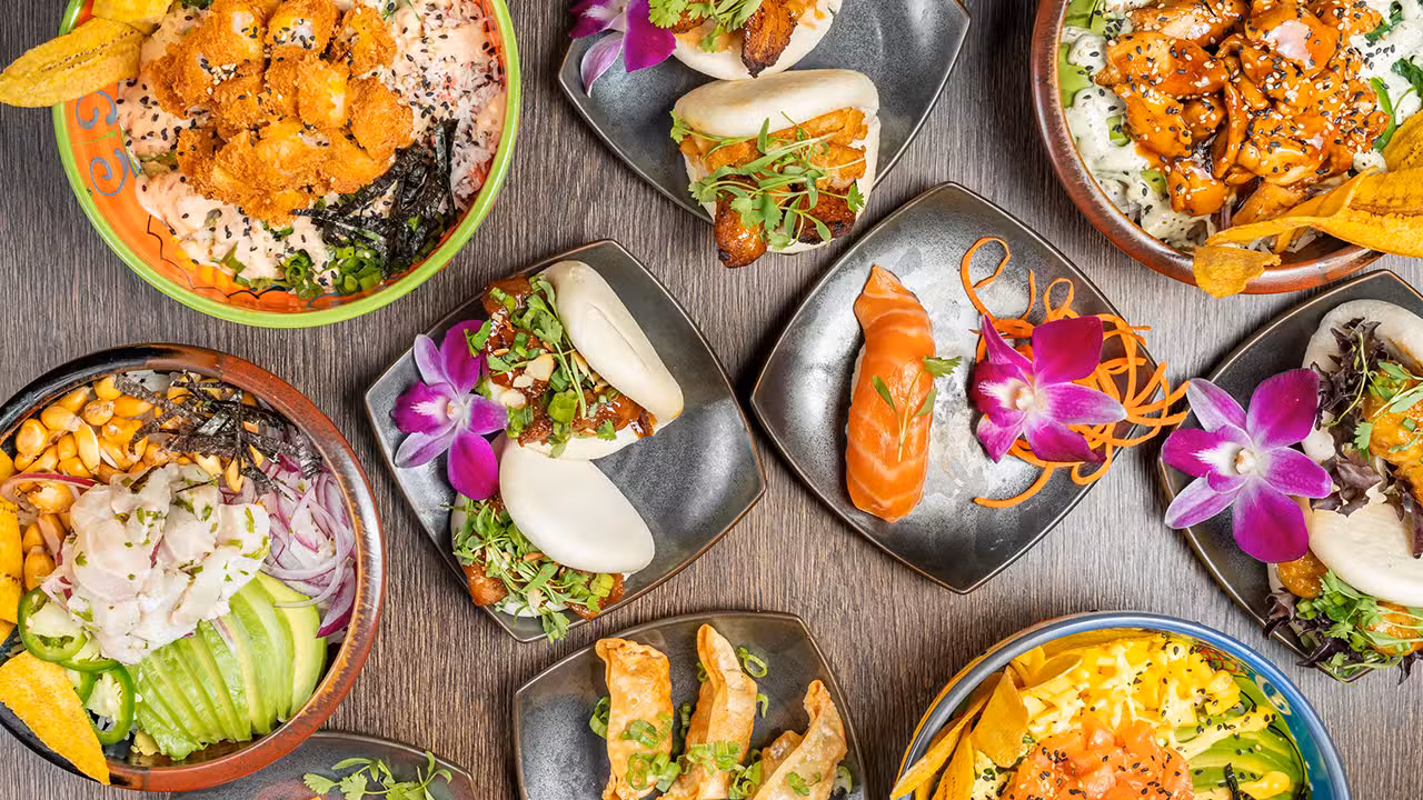 Shibuya Sushi Art FL Coral Springs