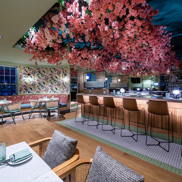 Ambar - Shaw Restaurant - Washington, DC | OpenTable