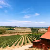 A photo of Rizzo Winery restaurant