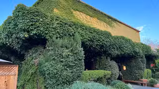 A photo of Insalata's restaurant