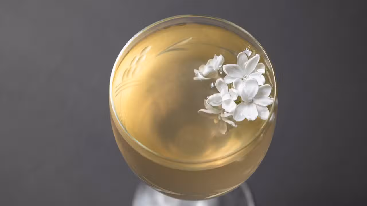 White Lilac - Velvet, Berlin, BE