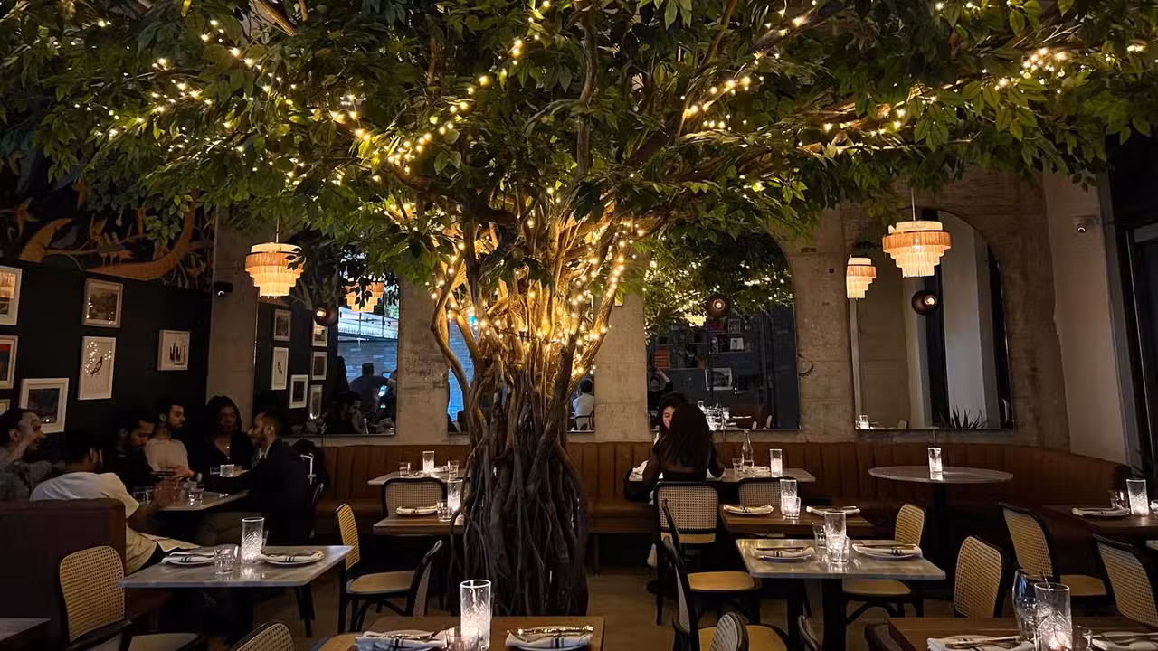 Binnenkant - Pigeon Café & Bar - King Street, Toronto, ON