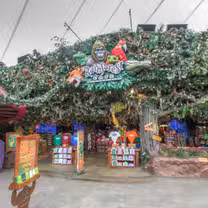 A photo of Rainforest Cafe - Sawgrass Mills (Ft. Lauderdale) restaurant