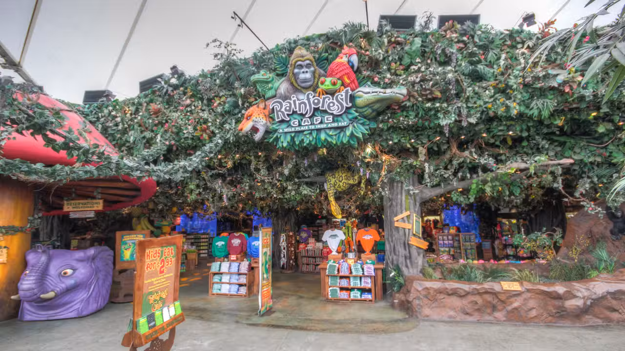 Exterior - Rainforest Cafe - Sawgrass Mills (Ft. Lauderdale), Sunrise, FL