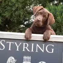 A photo of Styring Vineyards & Winery restaurant