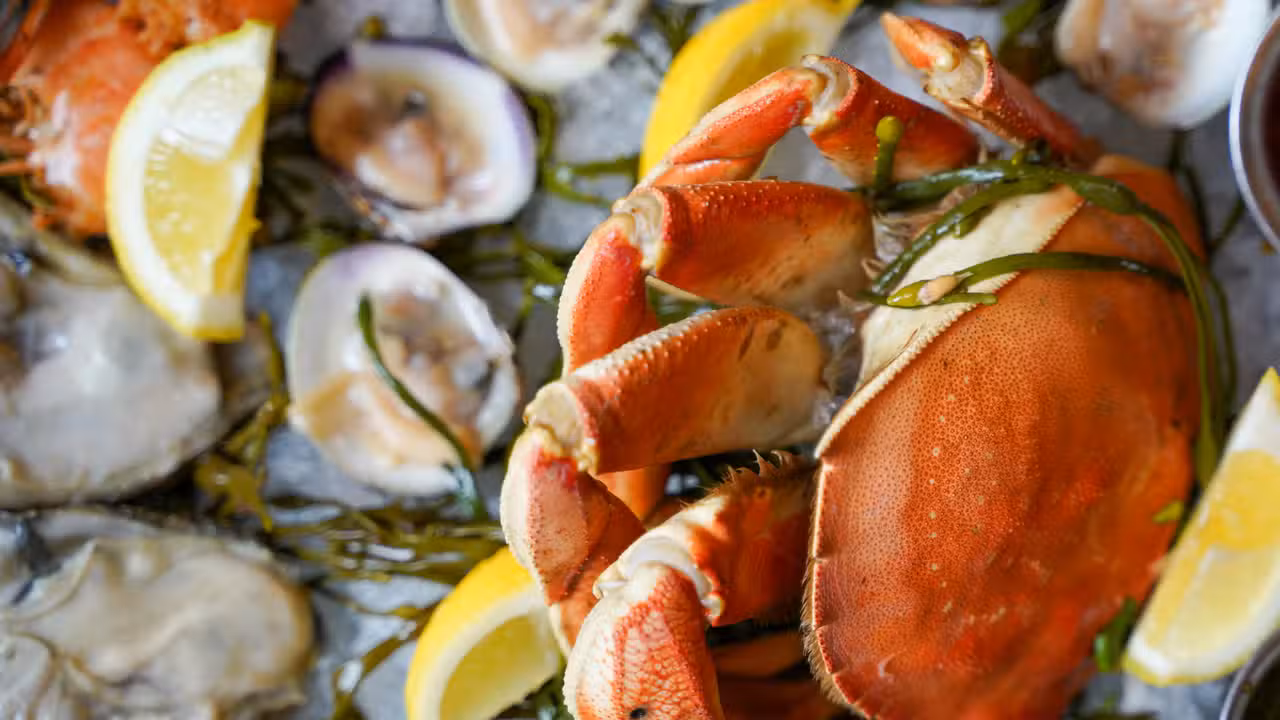 Food - Willi's Seafood & Raw Bar, Healdsburg, CA