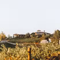A photo of Wise Villa Winery and Restaurant restaurant