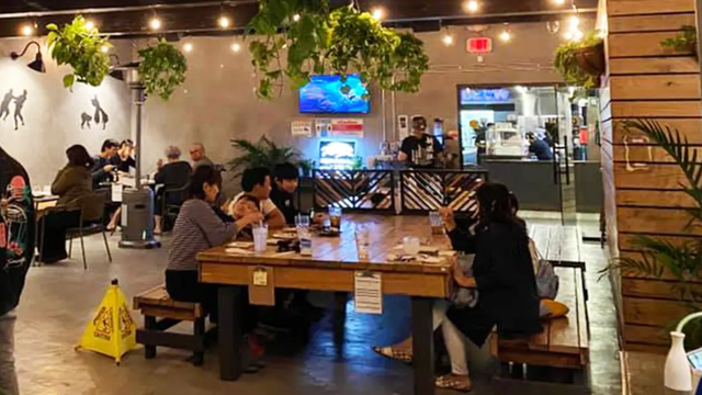 Yang's Kitchen | Restaurants In Alhambra