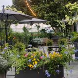 Cover image for 211 Clover Lane Restaurant