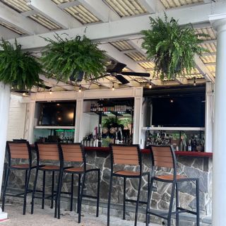 Tiger Lily - Updated 2026, Fusion Restaurant in Easton, MD
