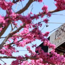 A photo of Paseo Grill restaurant