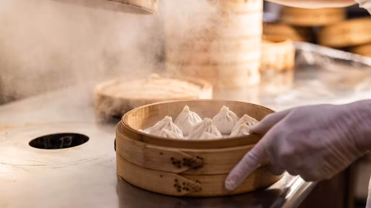 Small Juicy Steamed Dumpling (art by Kathy Tran) - Jeng Chi Restaurant TX Richardson