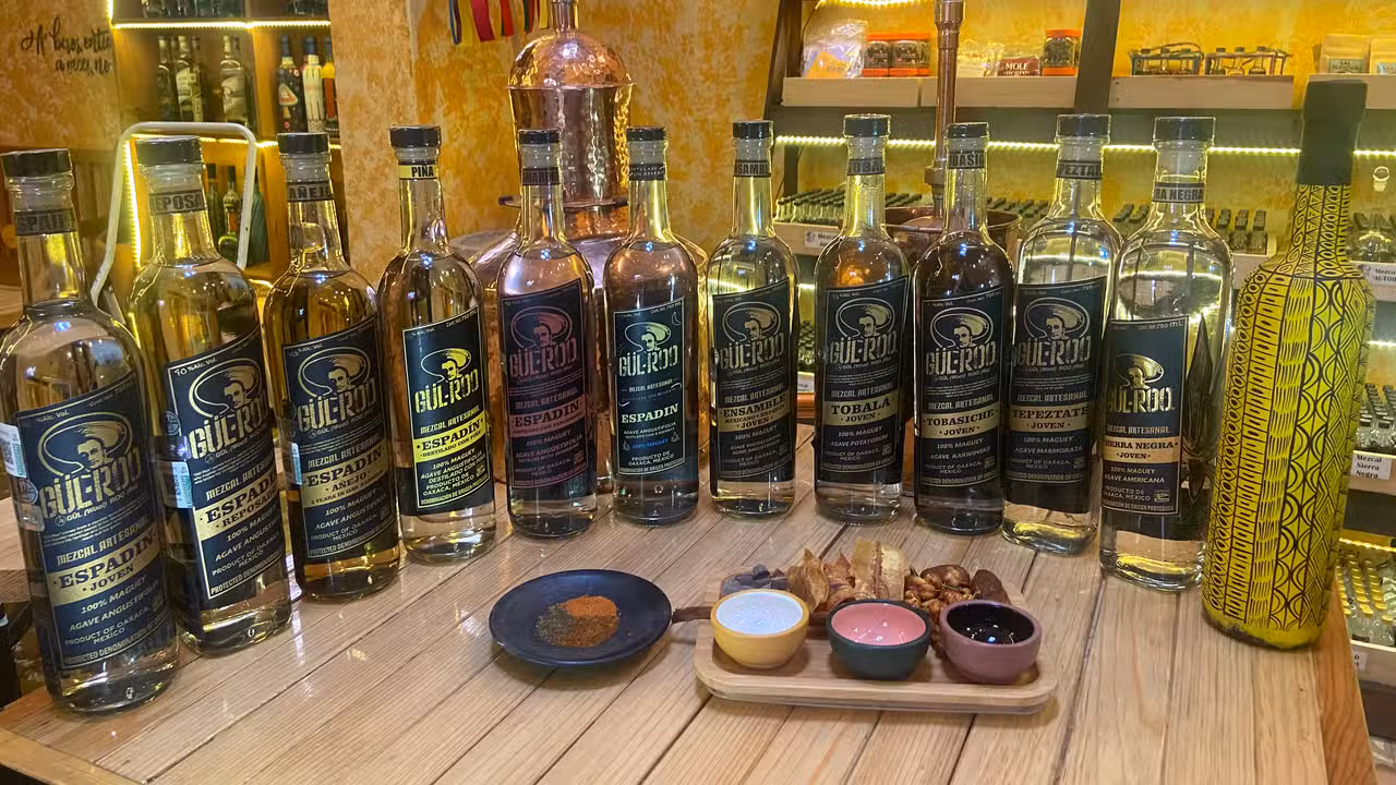 Mezcal Tasting Room by Gül-Roo, Oaxaca de Juárez, OAX