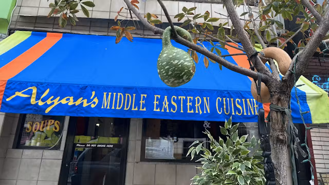 Alyan's Middle Eastern & Mediterranean Restaurant, Philadelphia, PA