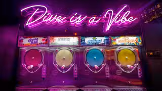 Dive Bar LIC餐廳的相片