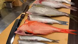 圖片1