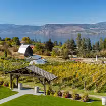 A photo of Nature’s Table at Summerhill Pyramid Winery restaurant