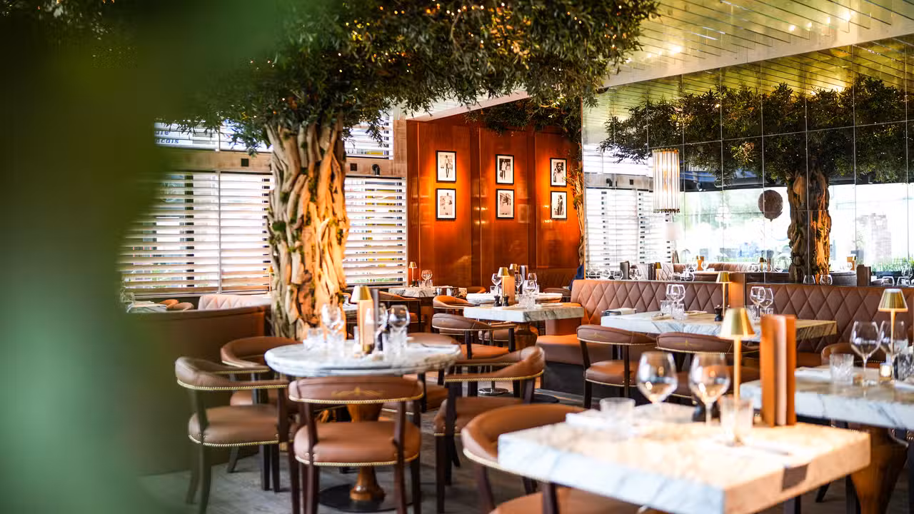 Cibo Wilmslow, an Italian restaurant in Cheshire - Cibo Wilmslow, Wilmslow, Cheshire East