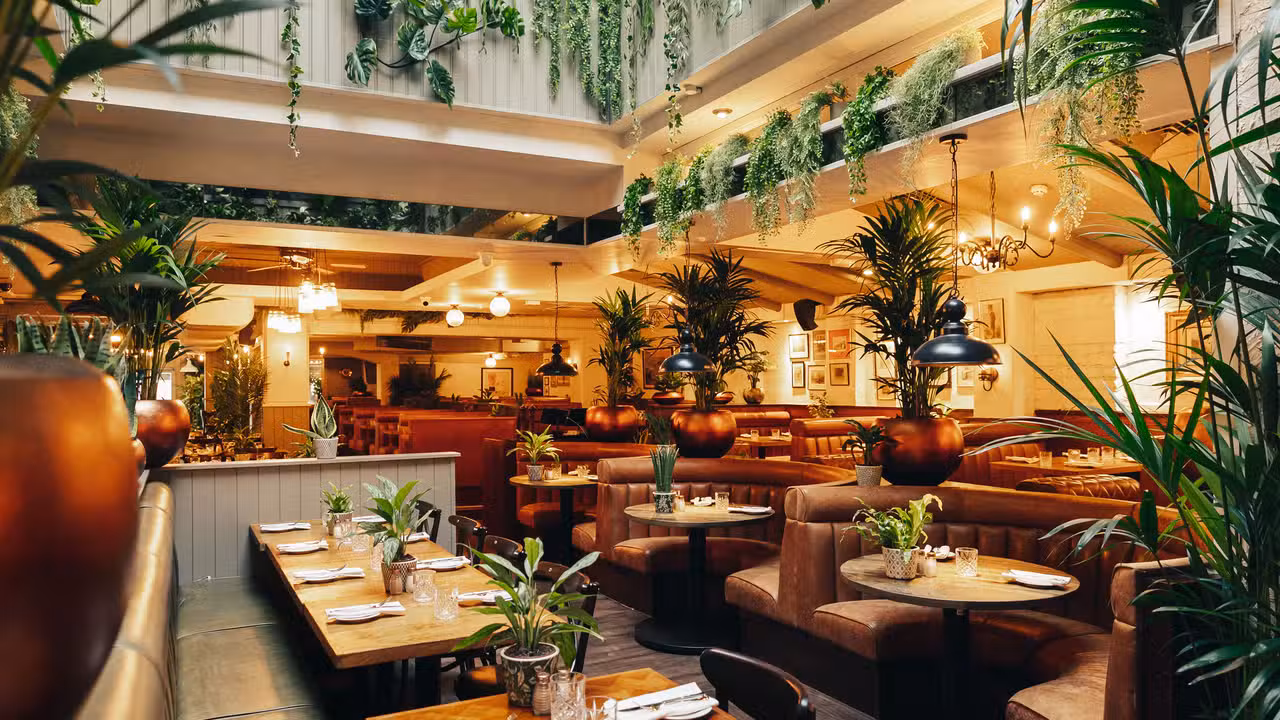 Interior - Mr White's Leicester Square, London, Greater London