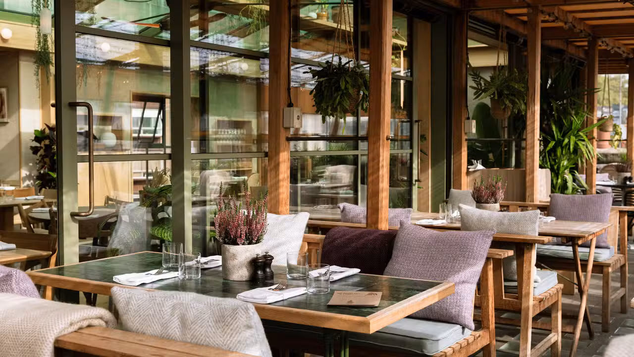 Roof Garden at Pantechnicon, London, 