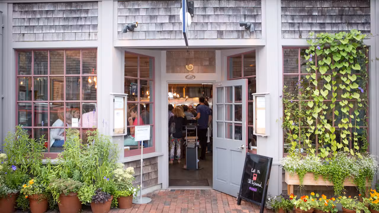 Nautilus Nantucket - The Nautilus - Nantucket, Nantucket, MA