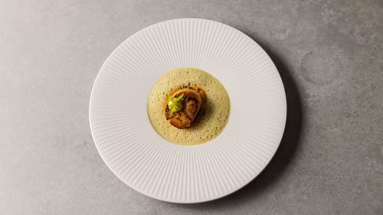Scallop - London Stock, London, London