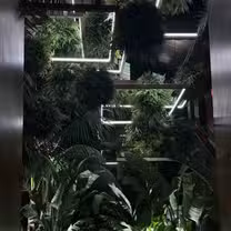 Foto del ristorante SAGO
