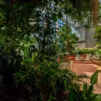 A photo of Olivia Garden restaurant