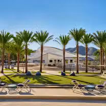Una foto del restaurante The Cove