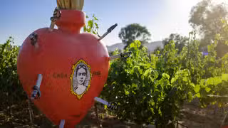 A photo of Casa Frida - Valle de Guadalupe restaurant