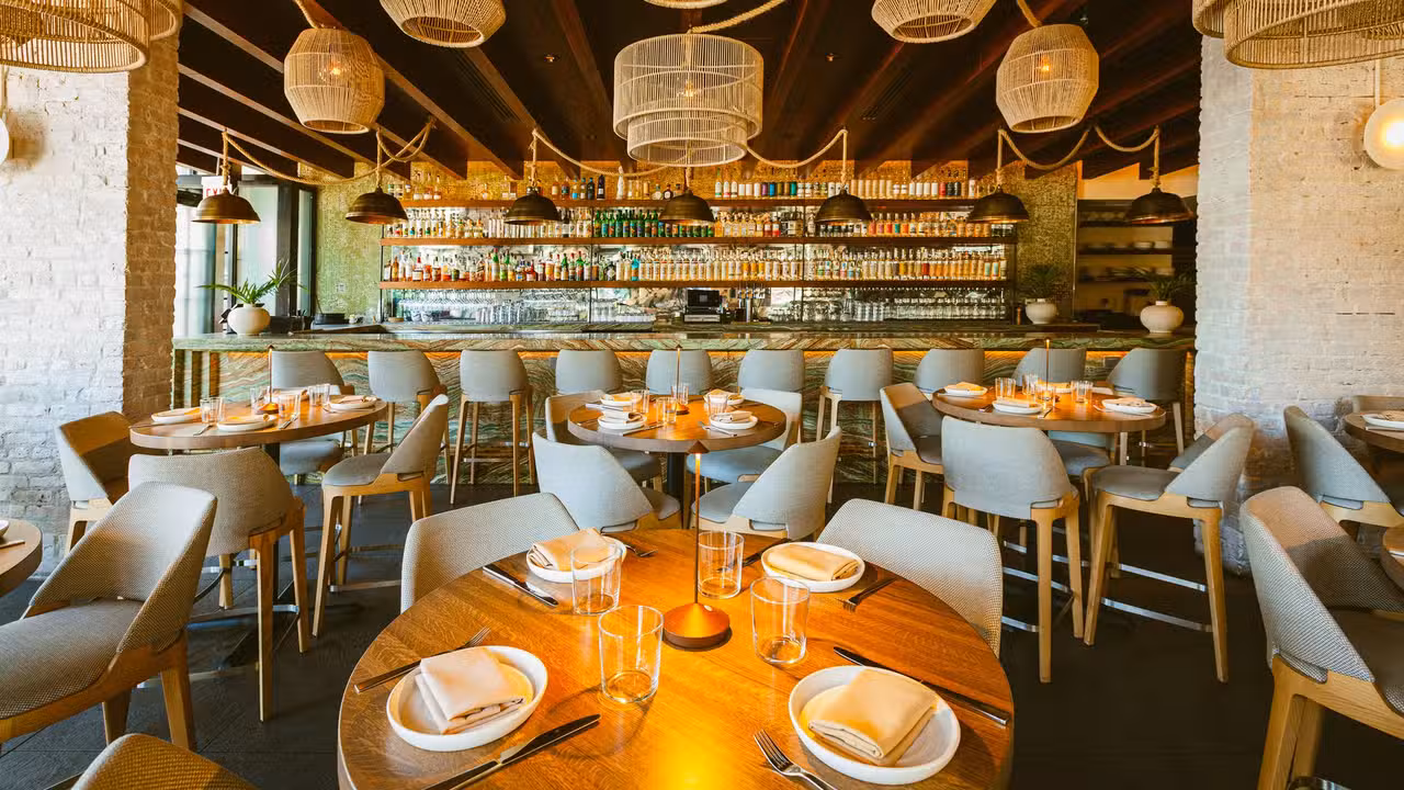 Leña Brava, Chicago, IL