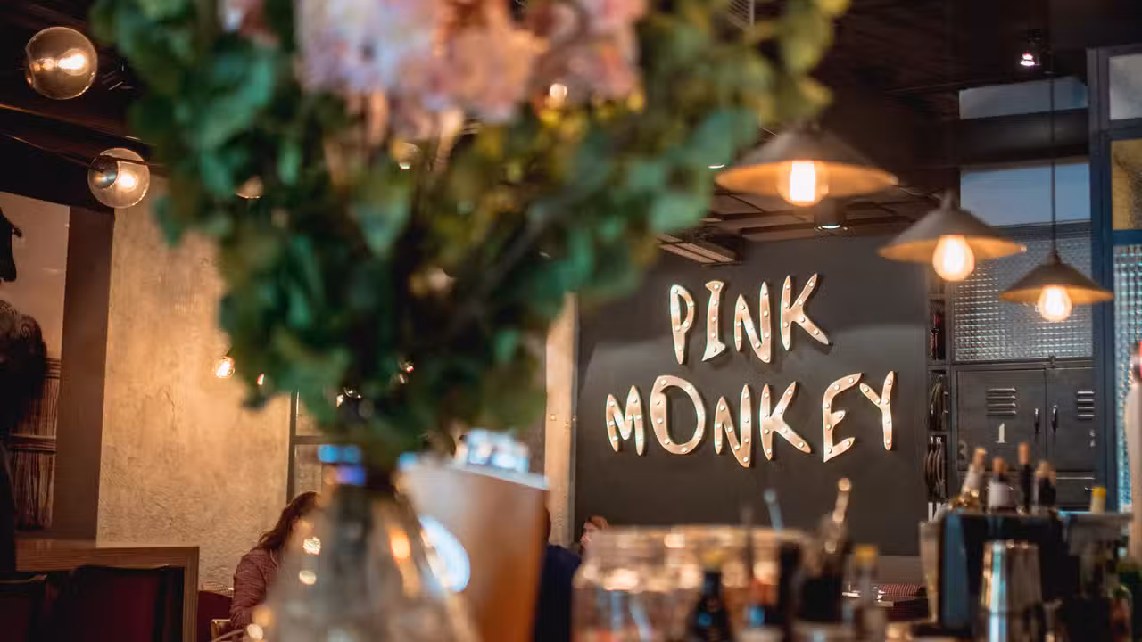 PINK MONKEY, Madrid, Madrid
