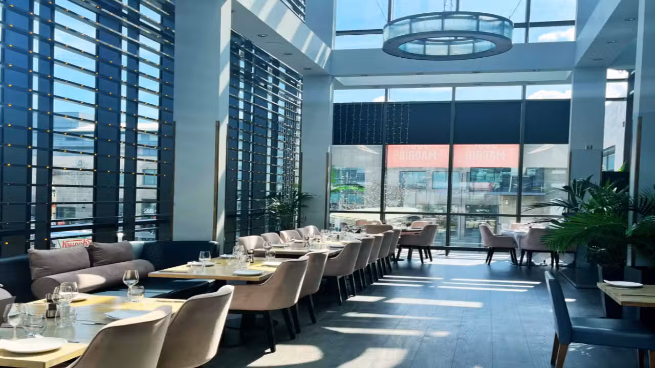 Interior - The Flying Duck, Dundrum, Dublin