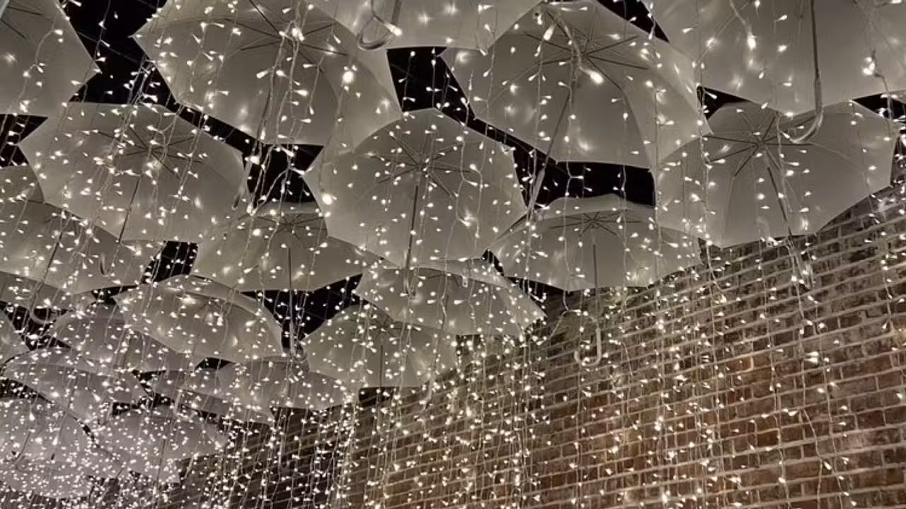 Umbrella Room - The Down Pour PA WILKES BARRE