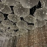 Cover image for The Down Pour