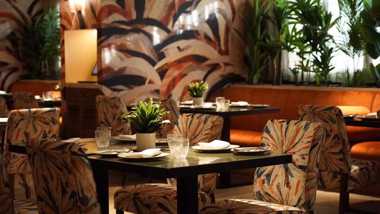 Interior - Bistro Aamara, Dubai, Dubai