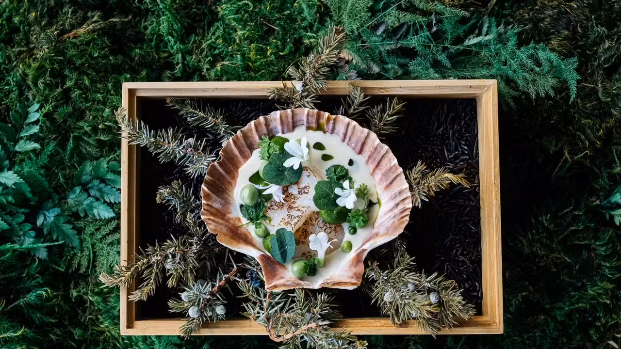 Scallop, pea, licorice, oyster.   - Sauvage, Canmore, AB